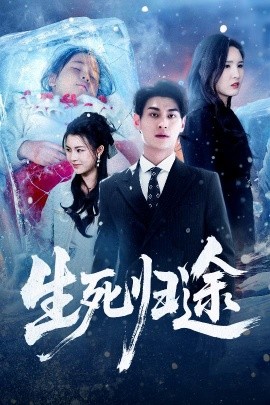生死归途（50集）王晶晶&王国豪杰 (2026)-米创网