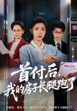 首付后，我的房子长腿跑了（60集）耿池苏＆江海 (2026)-米创网