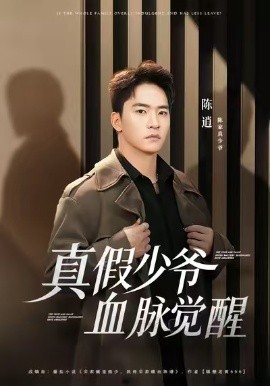 真假少爷血脉觉醒（63集）朱新辉&唐雪晴 (2026)-米创网