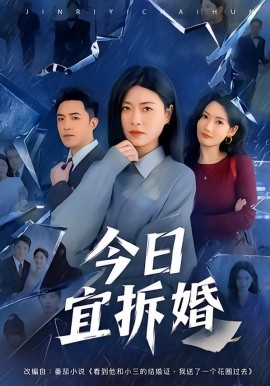 今日宜拆婚（60集）诸玲颖&刘月涛 (2026)-米创网