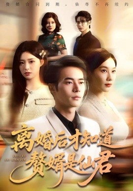 离婚后才知道赘婿是仙君（66集）赵焕东＆李槿 (2026)-米创网