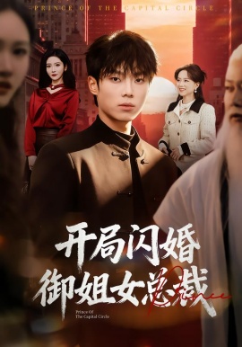 开局闪婚御姐女总裁（62集）肖茜文&杨晨 (2026)-米创网