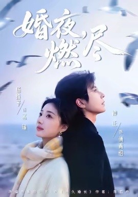 婚夜，燃尽（85集）钟正＆杨殊予 (2026)-米创网