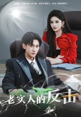 老实人的反击（80集）李源丰&彭晏茹 (2026)-米创网