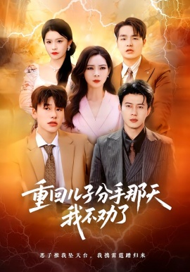 重回儿子分手那天，我不劝了（28集）黄科&吴愿 (2026)-米创网