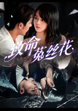 致命菟丝花（66集）车超炎＆王英杰 (2026)-米创网