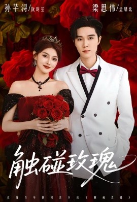 触碰玫瑰＆凌晨四点半，玫瑰花未眠（80集）梁思伟＆孙芊浔 (2026)-米创网