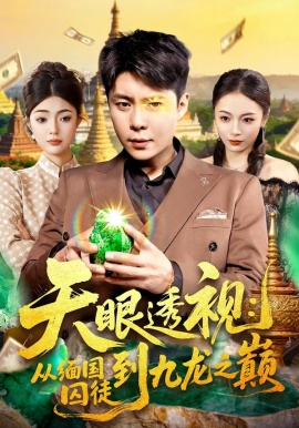 天眼透视：从缅国囚徒到九龙之巅（94集）邵迪&韩雨宸 (2026)-米创网