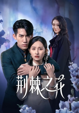 荆棘之花（100集）杨可忻&范哲宇 (2026)-米创网