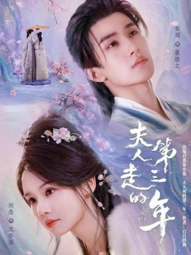 夫人走的第三年（72集）张翅&刘念 (2026)-米创网