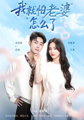 我就怕老婆怎么了（88集）刘浩群＆刘蔓莉 (2026)-米创网