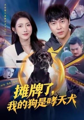 摊牌了，我的狗是哮天犬（98集）刘晨宇&张如意 (2026)-米创网