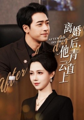 离婚后，他青云直上（50集）王静&肖琪峰 (2026)-米创网