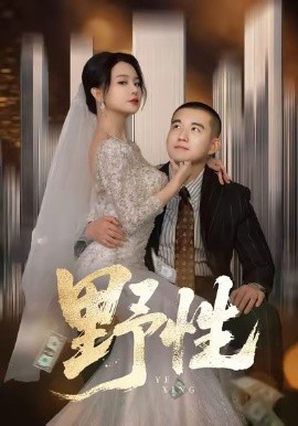 野性＆分手后，顶头上司要嫁我（70集）阎论＆梦露 (2026)-米创网