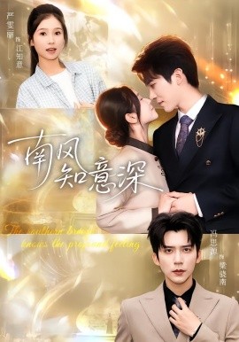南风知意深（40集）冯思源＆严雯丽 (2026)-米创网