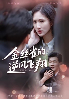 金丝雀的逆风飞翔（80集）廖帕姿&曹润辉 (2026)-米创网