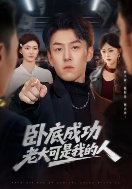 卧底成功老大可是我的人（99集）梁超＆涂鑫艺 (2026)-米创网