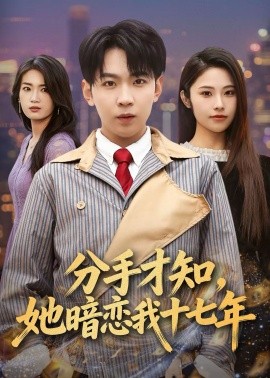 分手才知，她暗恋我十七年（80集）姚洁茹＆丁子晨 (2026)-米创网