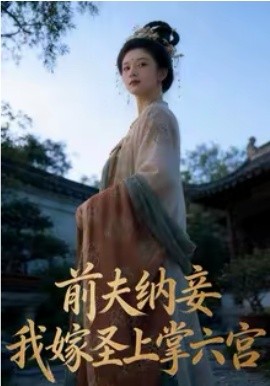 前夫纳妾，我嫁圣上掌六宫（53集）AI短剧 (2026)-米创网