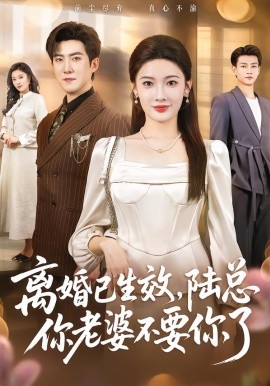 离婚已生效，陆总你老婆不要你了（61集）赵阿东＆沈玥妡 (2026)-米创网