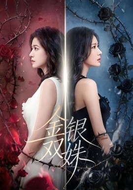 金银双姝（80集）王艺霏&徐霄 (2026)-米创网