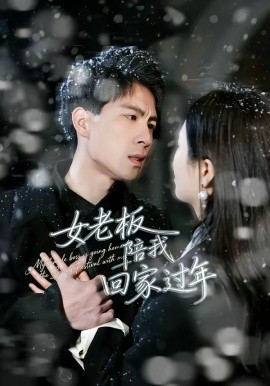 女老板陪我回家过年（40集）罗珊珊＆贺翔 (2026)-米创网
