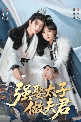 强娶太子做夫君（67集）王宇威＆王云云 (2026)-米创网