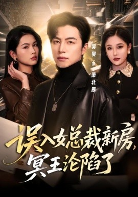 误入女总裁新房，冥王沦陷了（80集）吴昊＆张亚迪 (2026)-米创网
