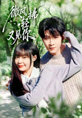 微风轻拂又见你（66集）王雨博&孙蔚琳 (2026)-米创网