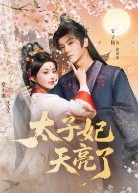 太子妃天亮了（80集）安子杨＆梨小娜 (2026)-米创网