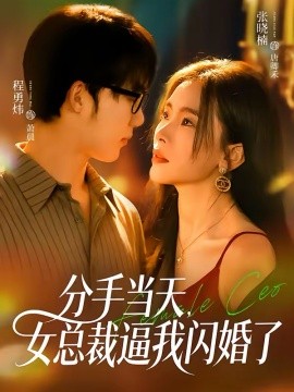 分手当天，女总裁逼我闪婚了（72集）张晓楠＆程勇炜 (2026)-米创网