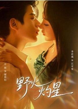 野火灼星（56集）左铭＆李若琪 (2026)-米创网