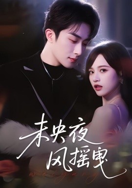 未央夜风摇曳（70集）文晴&叶庭 (2026)-米创网