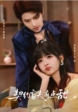 契约盲夫有点甜（63集）张庭睿＆莉莉崽 (2026)-米创网