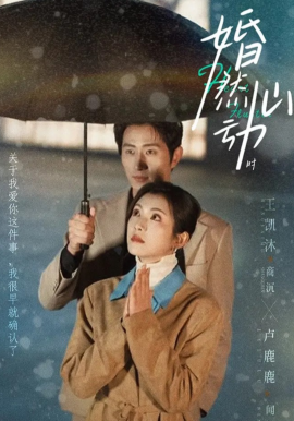婚然心动时（82集）王凯沐&卢鹿鹿 (2026)-米创网