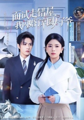 面试走错屋，我闪婚了京圈太子爷（80集）钱镇基＆田婷婷 (2026)-米创网
