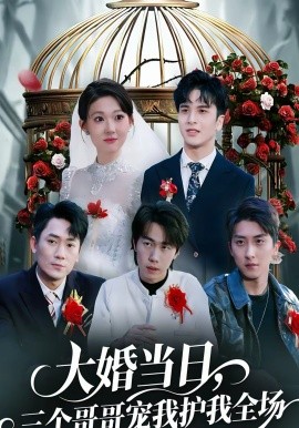 大婚当日，三个哥哥宠我护我全场（74集）周生昊＆徐亦澄 (2026)-米创网