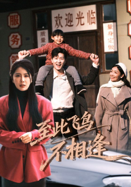 到此飞鸟不相逢（70集）王鹏&丁海霞 (2026)-米创网