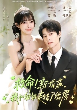 救命！新婚夜，我和姐姐走错了婚房（58集）盛一辰＆赵偲佟 (2026)-米创网