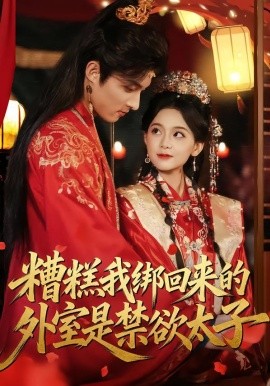 糟糕我绑回来的外室是禁欲太子（90集）邱嘉棋&薛景元 (2026)-米创网