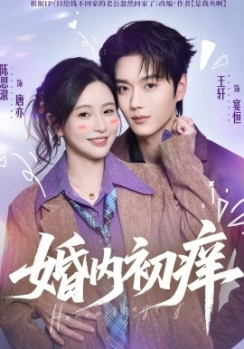 婚内初痒（100集）陈思澈&王轩 (2026)-米创网