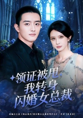 领证被甩，我转身闪婚女总裁（80集）顾梢姌&王晨旭 (2026)-米创网