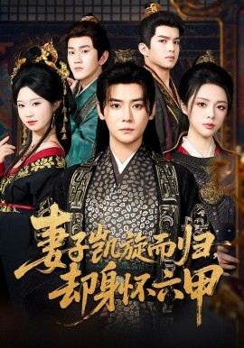 妻子凯旋而归，却身怀六甲（80集）曾乙同＆刘彦君 (2026)-米创网