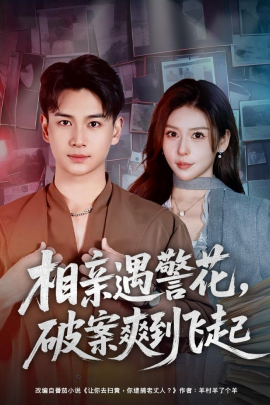 相亲遇警花，破案爽到飞起（80集）夏梦＆范高坡 (2026)-米创网