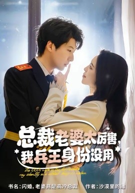 总裁老婆太厉害，我兵王身份没用（80集）刘照娅＆戚正 (2026)-米创网
