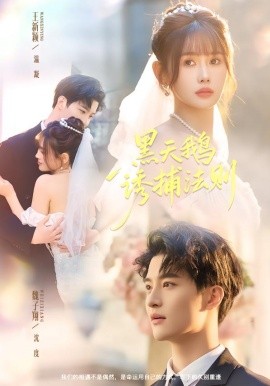 黑天鹅诱捕法册（80集）魏子翔＆王新颖 (2026)-米创网