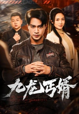 九龙丐婿（81集）鄢子纶＆苏寰 (2026)-米创网