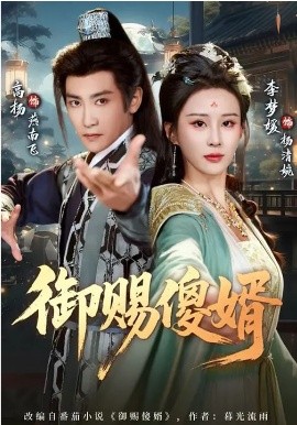 御赐傻婿（81集）高杨&李梦媛 (2026)-米创网
