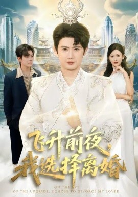 飞升前夜，我选择离婚（80集）王昭＆张颖洁 (2026)-米创网