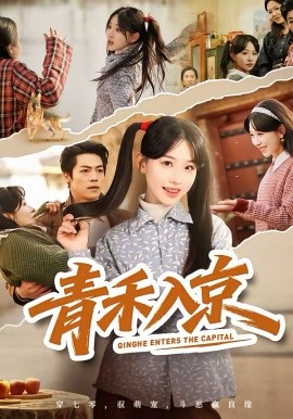 青禾入京（60集）于忻＆仇赫 (2026)-米创网